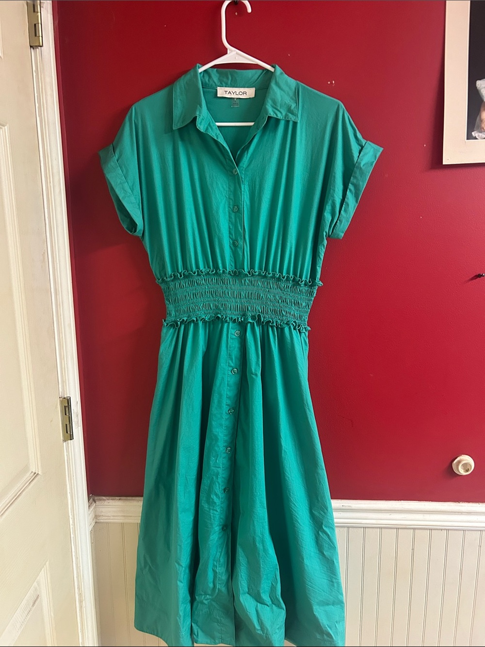Taylor Green Button-Front Shirtdress with Smocked Waist size 6